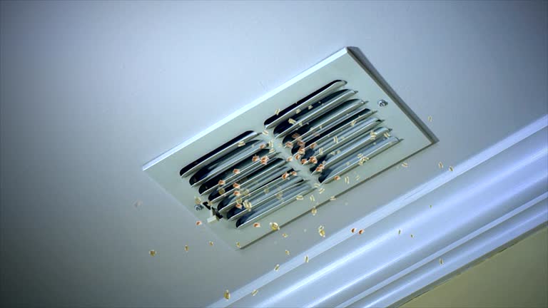 Best Affordable HVAC Duct Cleaning  in Osborne, KS