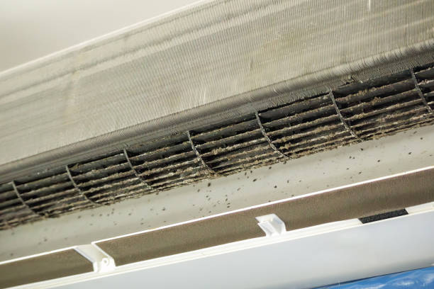 Best HVAC Maintenance and Cleaning  in Osborne, KS
